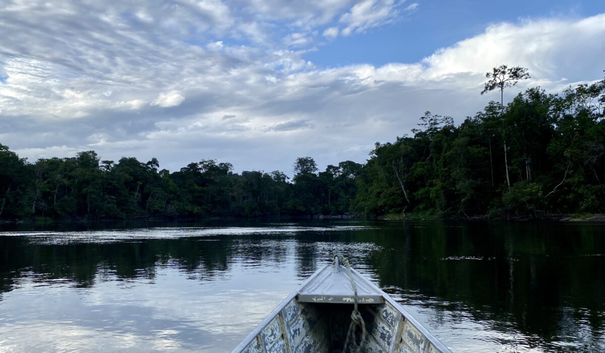 Descente en pirogue tôt le matin sur l’Oyapock